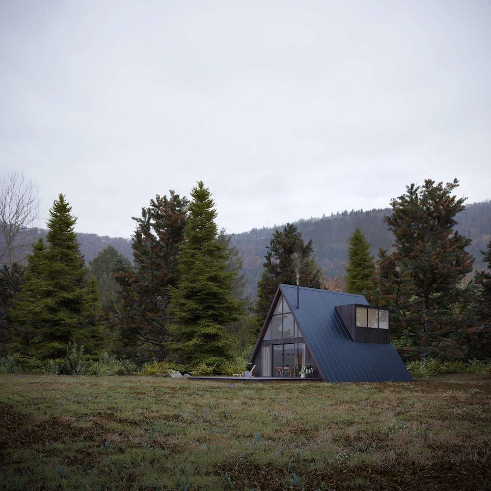 Scandinavian Modern Mountain Cabin